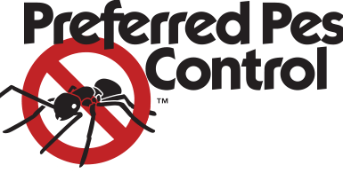 Pest Control Southend