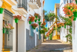 Van Hire Click Here Van Hire Newquay and Cornwall