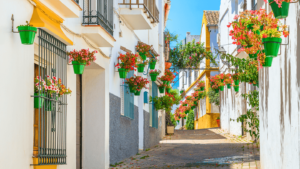 Van Hire Click Here Van Hire Newquay and Cornwall